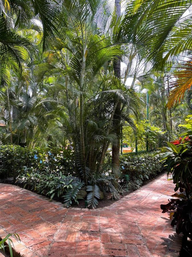 The Best Of Marbella Puerto Vallarta Luaran gambar