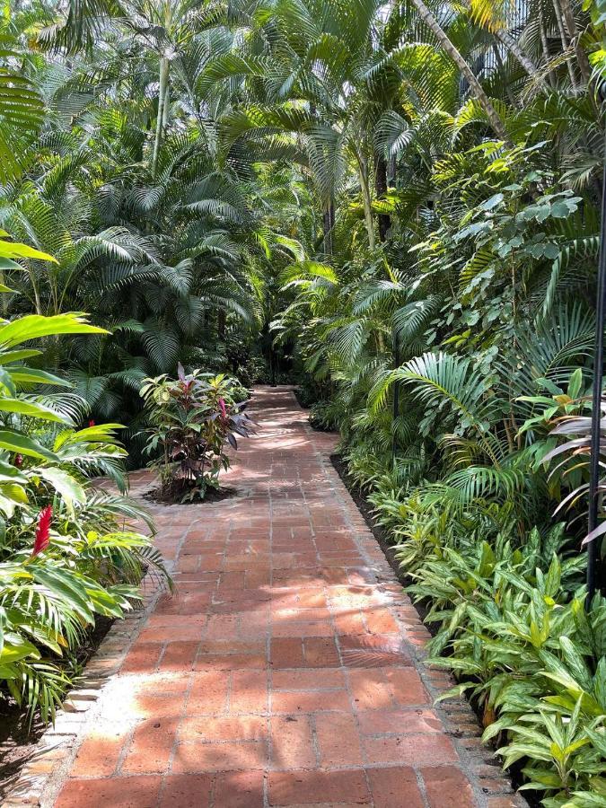 The Best Of Marbella Puerto Vallarta Luaran gambar