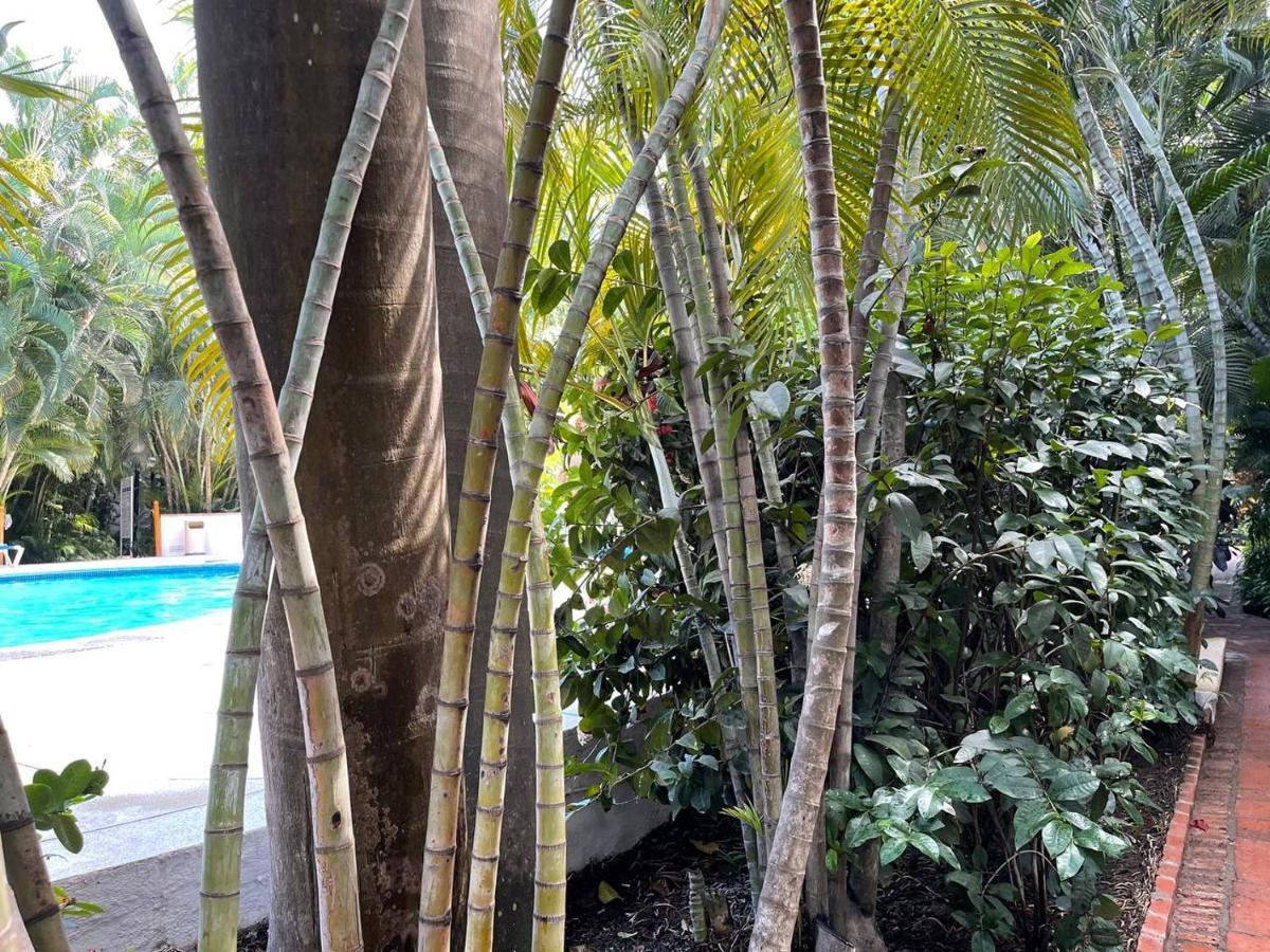 The Best Of Marbella Puerto Vallarta Luaran gambar