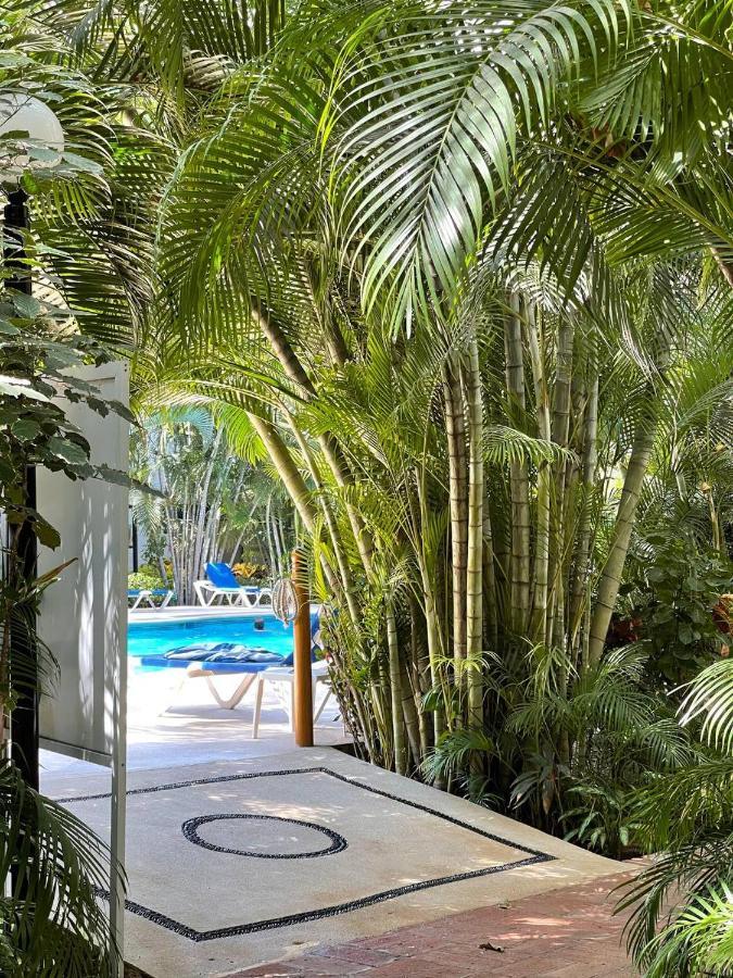 The Best Of Marbella Puerto Vallarta Luaran gambar